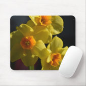 Hübsche, hellgelbe Daffodialfarben-Blume Mousepad (Mit Mouse)