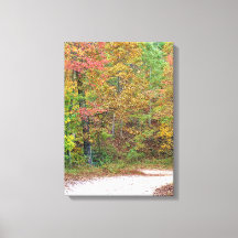 Hübsche Herbstleaves Bergstrasse Canvas drucken