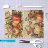 Hübsche Hübsche Pumpkins Seidenpapier (Handwerk)