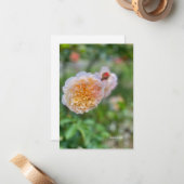 Hübsche Hübsche Rose Mitteilungskarte (Vorderseite/Rückseite Beispiel)