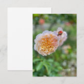 Hübsche Hübsche Rose Mitteilungskarte (Vorne/Hinten)