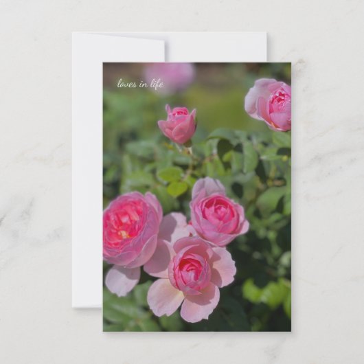 Hübsche Hübsche Rosensteine Mitteilungskarte (Vorderseite)