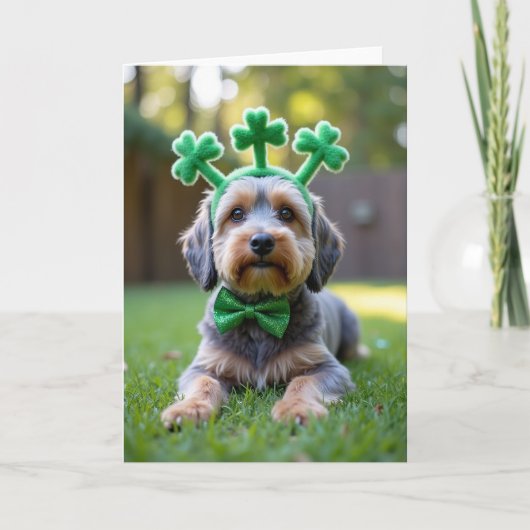 Hübsche Hund Shamrock Schleife Karte (Vorderseite)