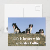 Hübsche Hunde Postkarte (Vorne/Hinten)