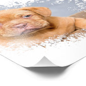 Hübsche Hunde-Wandkunst Leinwand – Moderne Tierfot Fotodruck (Ecke)