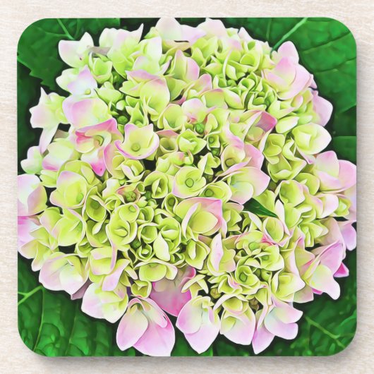 Hübsche Hydrangea Blume Art Untersetzer Set (Vorderseite)