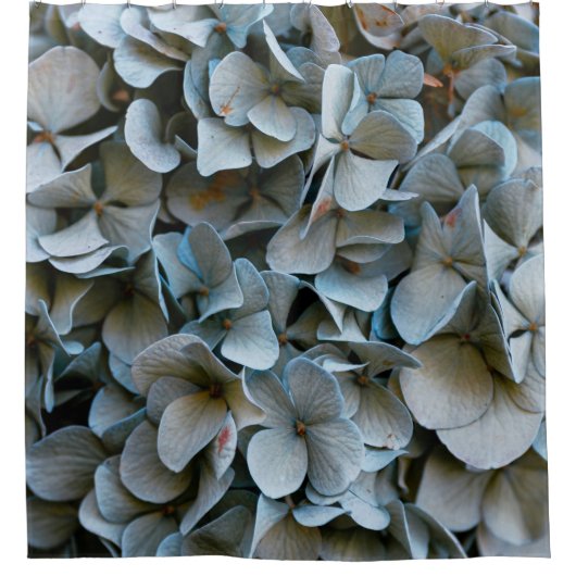Hübsche Hydrangeas Duschvorhang (Vorderseite)