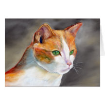 Hübsche Ingwerkatze (a348)