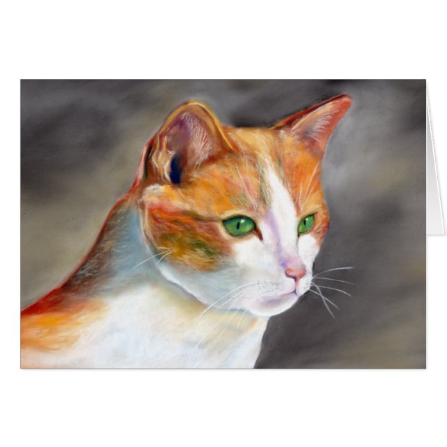 Hübsche Ingwerkatze (a348) (Vorderseite (Horizontal))