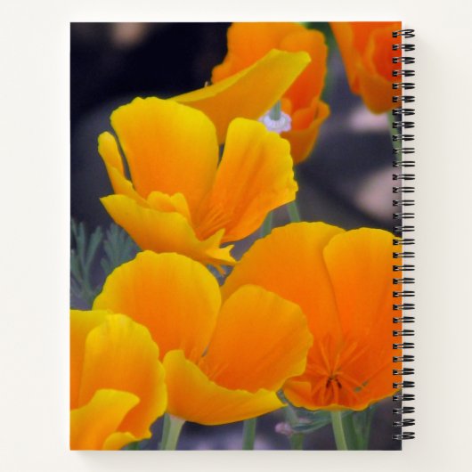 Hübsche kalifornische Poppies mit Zitatskizze Notizblock (Rückseite)