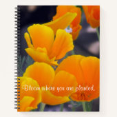 Hübsche kalifornische Poppies mit Zitatskizze Notizblock (Vorderseite)