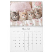 Hübsche Kätzchen Pastel Pink 2026 Mauerkalender Kalender (Mär 2027)
