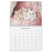 Hübsche Kätzchen Pastel Pink 2026 Mauerkalender Kalender (Feb 2027)