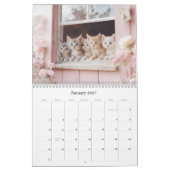 Hübsche Kätzchen Pastel Pink 2026 Mauerkalender Kalender (Jan 2027)