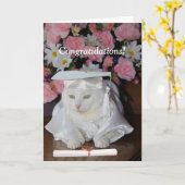 Hübsche Katze Abschluss für Frauen Karte (Gelbe Blume)