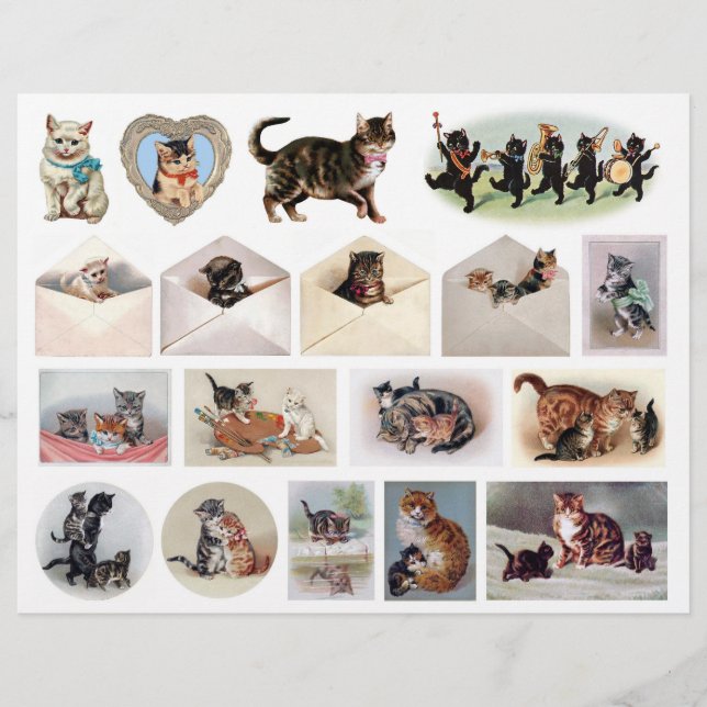 Hübsche Katze Ephemera von Helena Maguire (1860-19 (Vorderseite)