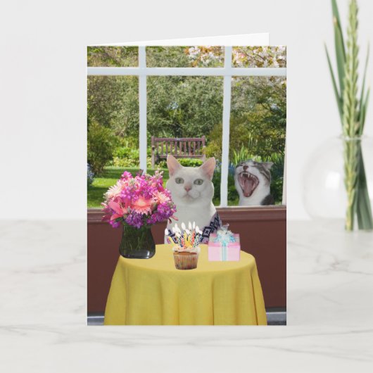 Hübsche Katze Geburtstag weiblicher Fotografie Karte (Vorderseite)