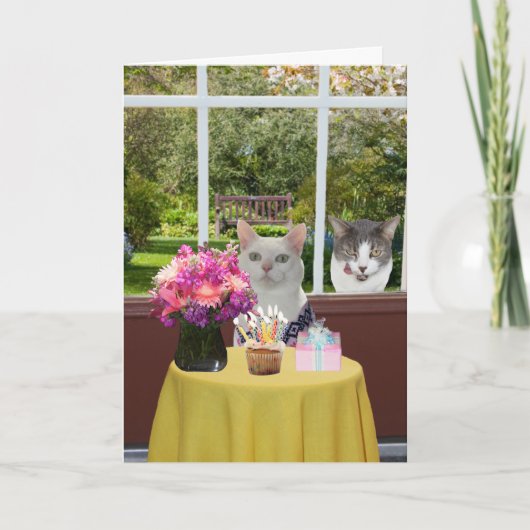 Hübsche Katze Geburtstag weiblicher Fotografie Karte (Vorderseite)
