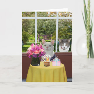 Hübsche Katze Geburtstag weiblicher Fotografie Karte