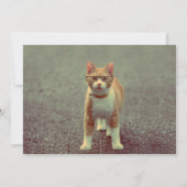 Hübsche Katze mit Brille Einladung (Rückseite)