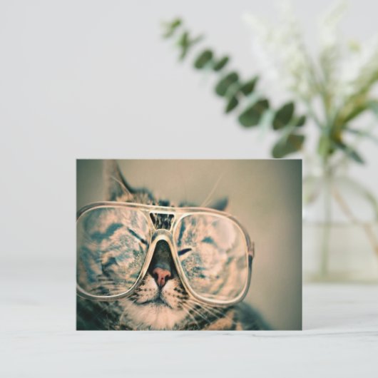 Hübsche Katze mit Brille Postkarte (Stehend Vorderseite)