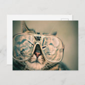 Hübsche Katze mit Brille Postkarte (Vorne/Hinten)