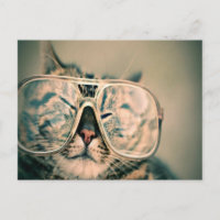 Hübsche Katze mit Brille