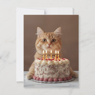 Hübsche Katze mit Geburtstagskuchen Postkarte