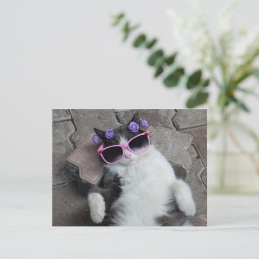 Hübsche Katze mit rosa Brille Postkarte (Stehend Vorderseite)