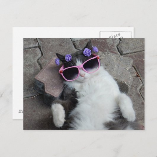 Hübsche Katze mit rosa Brille Postkarte (Vorne/Hinten)