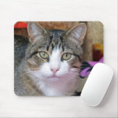 Hübsche Katze Mousepad (Mit Mouse)