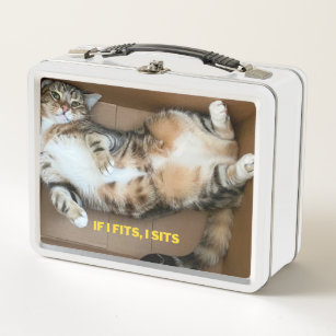 Hübsche Katze, wenn ich hinsetze, Katze in Kiste Metall Brotdose