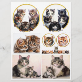 Hübsche Katzen-Illustrationen inspiriert von H. Ma