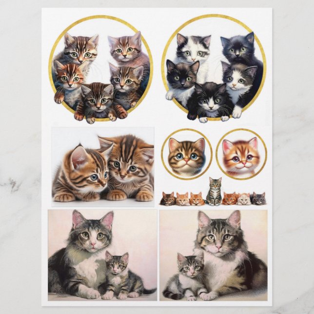 Hübsche Katzen-Illustrationen inspiriert von H. Ma (Vorderseite)