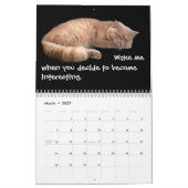 Hübsche Katzen mit Katitude Kalender (Mär 2027)