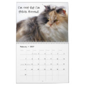 Hübsche Katzen mit Katitude Kalender (Feb 2027)