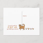 Hübsche Katzen und Hühner, die nur in der Postkart Postkarte (Rückseite)