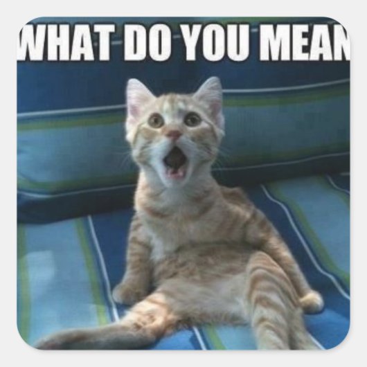 Hübsche Katzenkleber Quadratischer Aufkleber (Vorderseite)