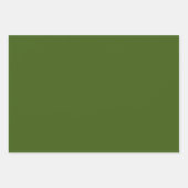 Hübsche Kiefernzapfen und -kuppeln Botanisch Geschenkpapier Set (Vorderseite 2)