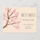 Hübsche Kirschblüten Sakura Tree Wir haben uns bew Postkarte (Vorderseite)
