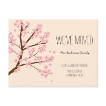 Hübsche Kirschblüten Sakura Tree Wir haben uns bew