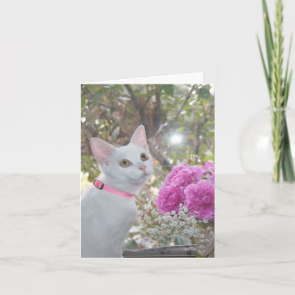Hübsche Kittennotizkarte Karte