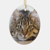 Hübsche Kitty mit Blick auf Sie Keramikornament (Rechts)