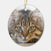 Hübsche Kitty mit Blick auf Sie Keramikornament (Links)