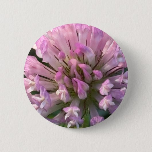 Hübsche Kleeblüte Button (Vorderseite)