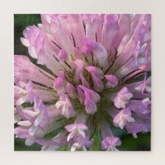 Hübsche Kleeblüte Puzzle (Vertikal)
