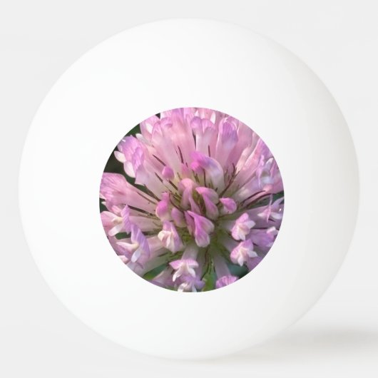 Hübsche Kleeblüte Tischtennisball (Vorderseite)