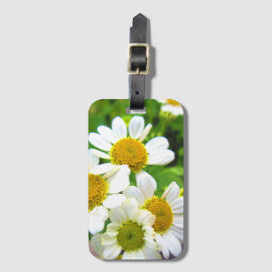 Hübsche kleine Daisy-Blume im Sonnenschein Gepäckanhänger