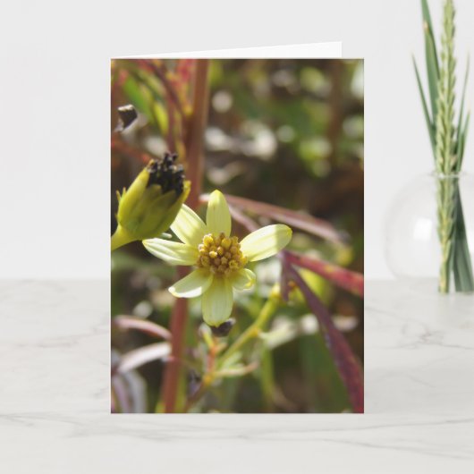 Hübsche kleine gelbe Blume Karte (Vorderseite)
