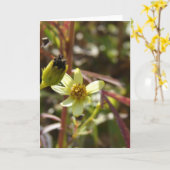 Hübsche kleine gelbe Blume Karte (Gelbe Blume)